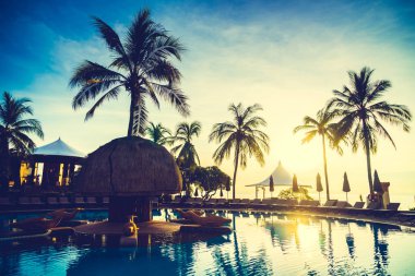 Siluet Hindistan cevizi hurma ağacının Yüzme Havuzu etrafında