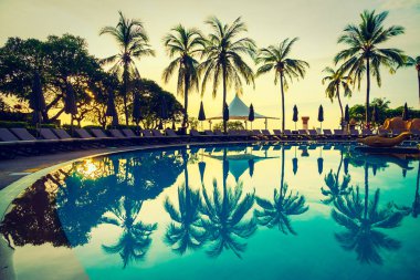 Siluet Hindistan cevizi hurma ağacının Yüzme Havuzu etrafında