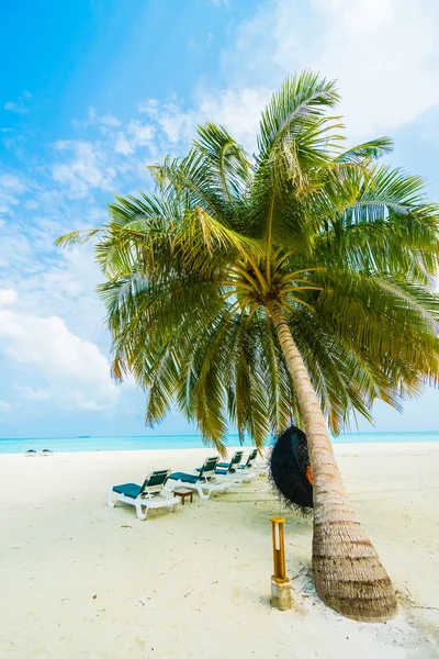 Güzel tropikal plaj 