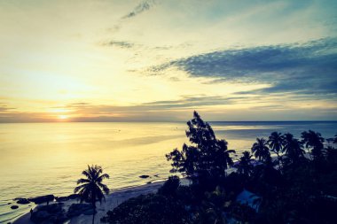 Deniz ve plaj ile siluet Hindistan cevizi hurma ağacı