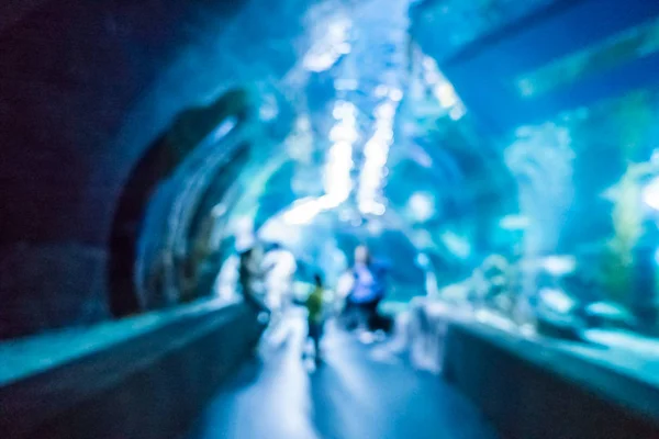 抽象的模糊和散焦，水下的隧道式鱼缸 — 图库照片