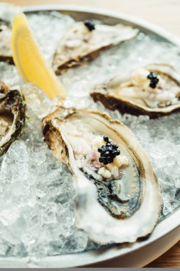 Ham ve taze istiridye havyar üstte ve limon ile