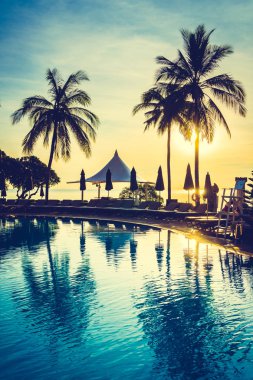 Siluet Hindistan cevizi hurma ağacının Yüzme Havuzu etrafında