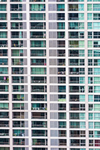 Fensterbaumuster — Stockfoto