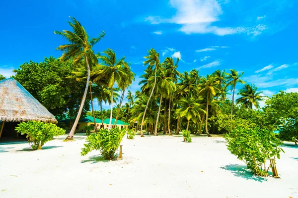 Güzel tropikal plaj 