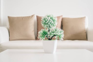 Vazo bitki masada