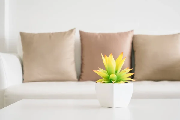 Рослина ваза на столі — стокове фото