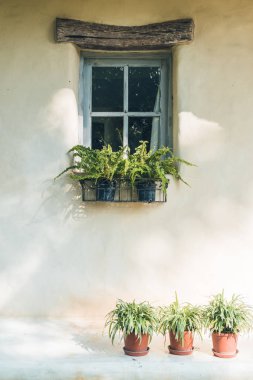 Pencere dış dekorasyon