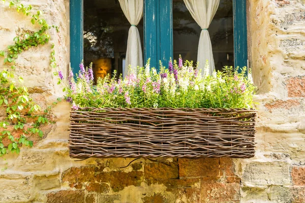 Lavender flower in vase — Stock Photo, Image