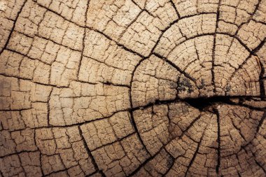 Eski ahşap doku ve arka plan için yüzey