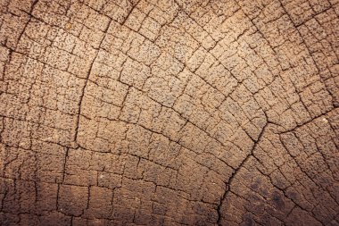 Eski ahşap doku ve arka plan için yüzey