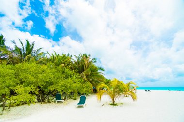 Güzel tropikal plaj ve Hindistan cevizi hurma ağacı ve mavi gökyüzü adam ile Maldivler adasında