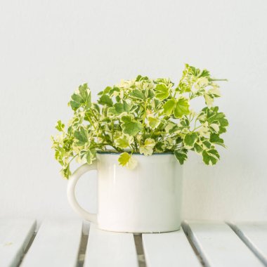 Yeşil vazo bitki kopya alanı tablo