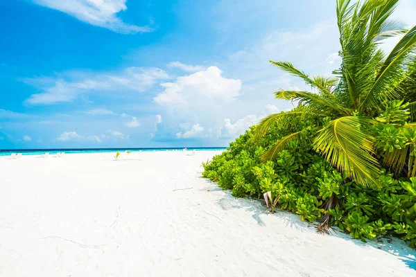 Hermoso Complejo Tropical Maldivas Hotel Isla Con Playa Mar Palmera —  Fotos de Stock
