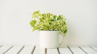 Yeşil vazo bitki kopya alanı tablo