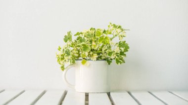 Yeşil vazo bitki kopya alanı tablo