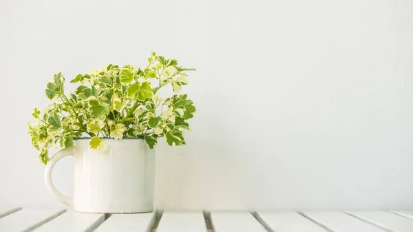 Grön Vas Växt Bord Med Kopia Utrymme — Stockfoto