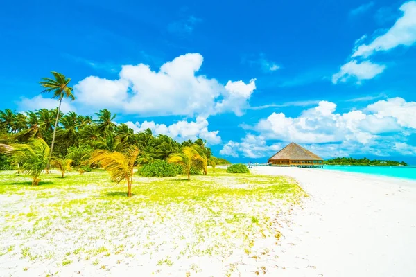 Belle Plage Tropicale Mer Dans Île Des Maldives Avec Cocotier — Photo