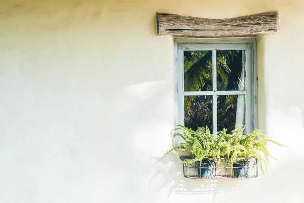 Ventana decoración exterior — Foto de Stock