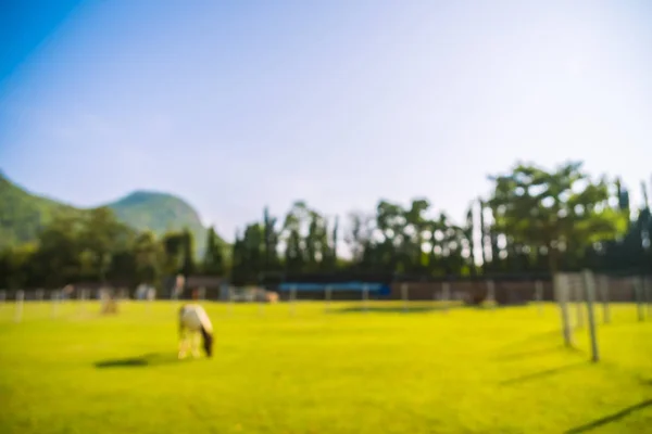 Park yeşil alan ile bulanıklık — Stok fotoğraf