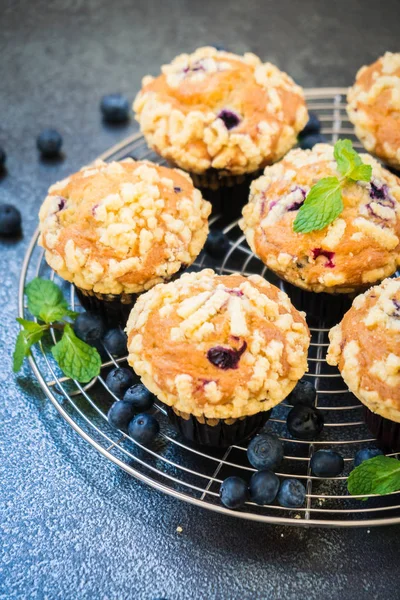 Postre Dulce Con Magdalena Arándanos Procesamiento Filtros — Foto de Stock