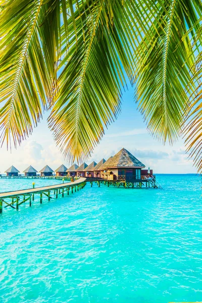 Hermoso Complejo Tropical Maldivas Hotel Isla Con Playa Mar Cielo — Foto de Stock