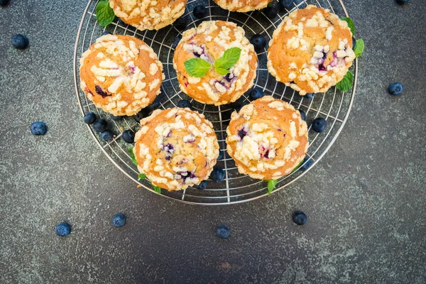 Sweet Dessert Blueberry Muffin Filter Processing — Stock Photo, Image