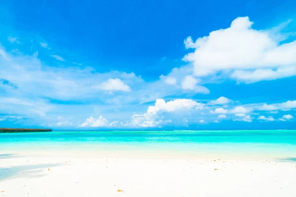 Пляж Море Мальдивском Острове Кокосовой Пальмой Голубым Небом — стоковое фото