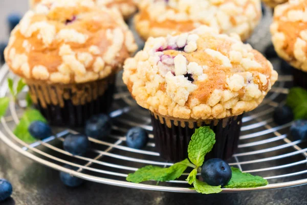 Sweet Dessert Blueberry Muffin Filter Processing — Stock Photo, Image