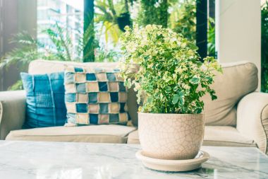 Koltuk arka plan üzerinde yastık ile tablo vazo bitki