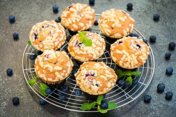 Sweet Dessert Blueberry Muffin Filter Processing — Stock Photo, Image