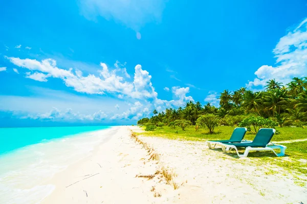 코코넛 나무와 Backgroun 몰디브 바다와 — 스톡 사진