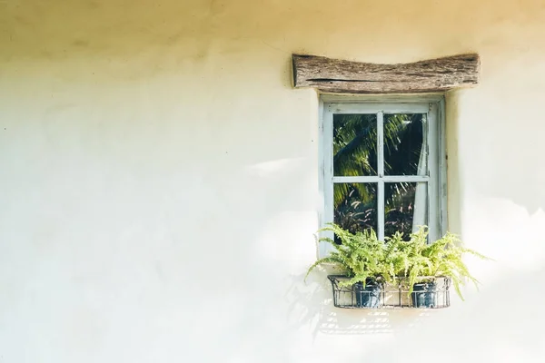 Janela Decoração Exterior Com Vaso Planta — Fotografia de Stock