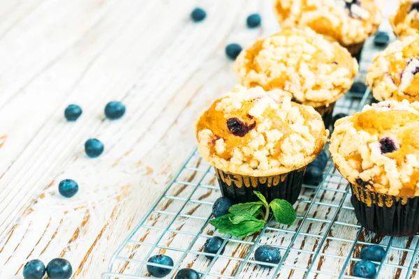 Áfonyás muffin — Stock Fotó