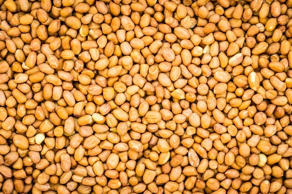 Texturas de amendoim para fundo — Fotografia de Stock