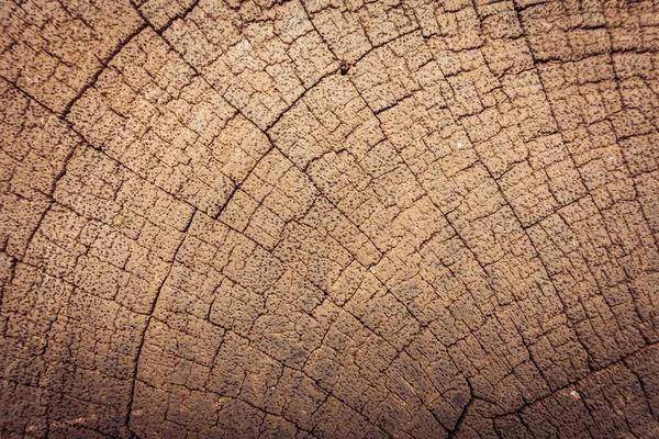 Oude hout structuren — Stockfoto