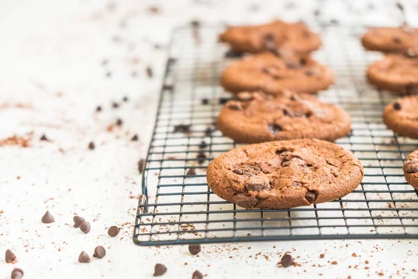 Biscoitos de chocolate — Fotografia de Stock