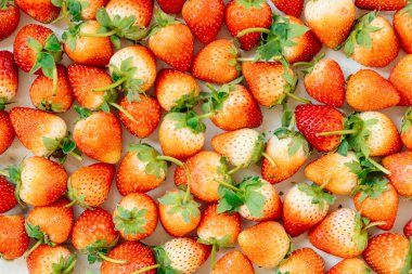 Arka plan için çilek meyve dokular