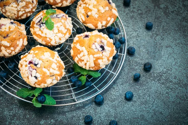 Blueberry muffin — Stock Photo, Image