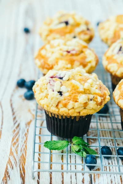 Blueberry muffin — Stock Photo, Image