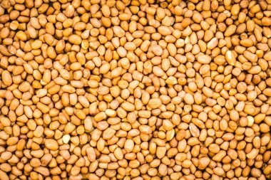 Arka plan - sağlıklı gıda kavramı için fıstık dokular