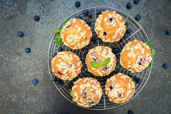 Sweet Dessert Blueberry Muffin Filter Processing — Stock Photo, Image