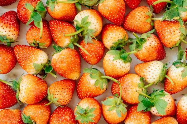 Erdbeerfrucht Texturen Für Hintergrund — Stockfoto