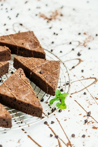 Chocolate brownies — Stock Photo, Image