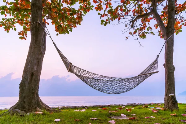 Hängematte am Strand und Meer — Stockfoto