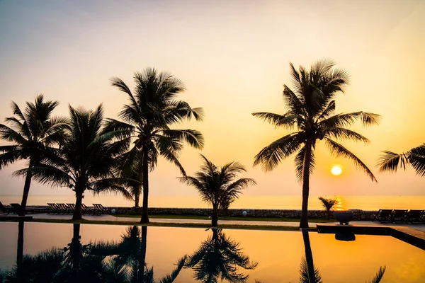 Silhouette palma da cocco intorno alla piscina all'aperto — Foto Stock