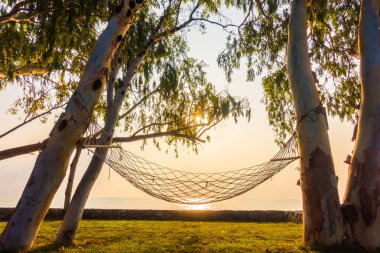 Hamak neary plaj ve gündoğumu zaman