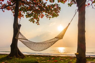 Hamak neary plaj ve gündoğumu zaman