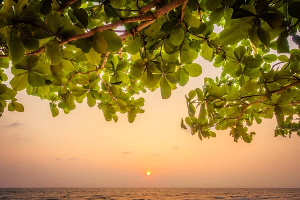 Sonnenuntergang am Strand und Meer — Stockfoto