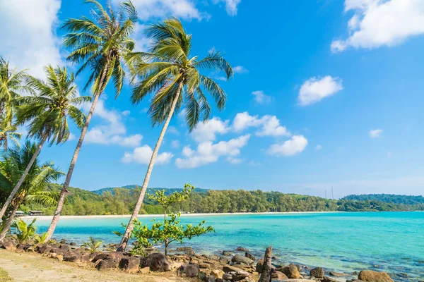 Palmeira de coco na praia e mar — Fotografia de Stock